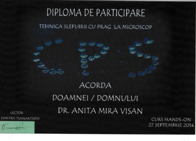 Diploma_20160208_0004